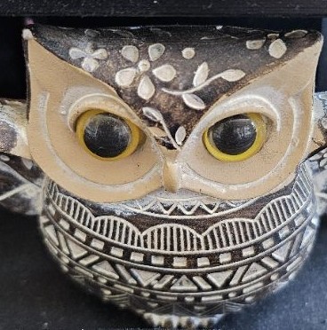 * a Correa Mediterraneo31