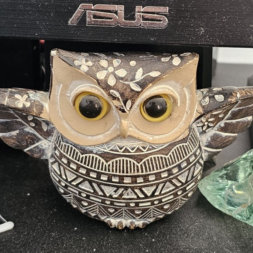 *  camae 222221231a1xxx